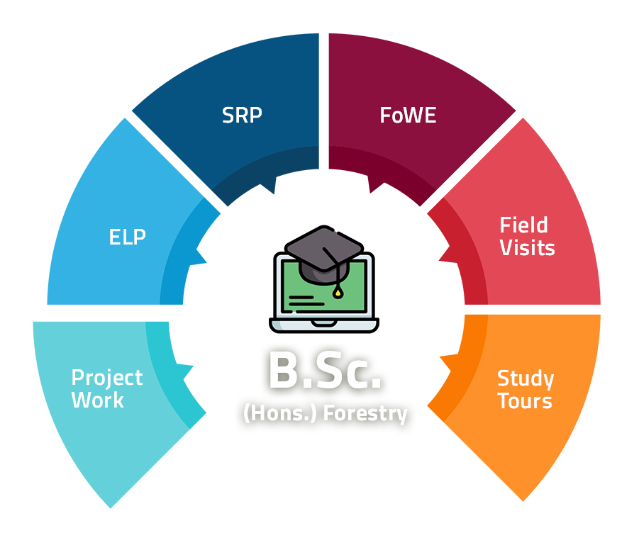 B.Sc. Forestry