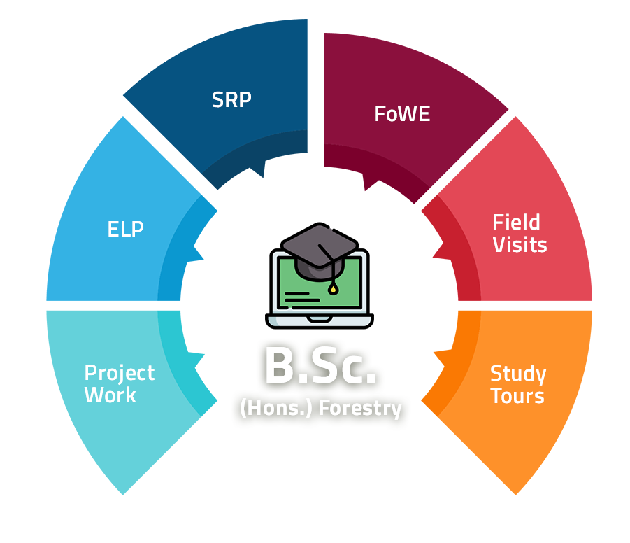 B.Sc. Forestry