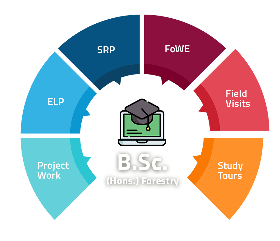 B.Sc. Forestry