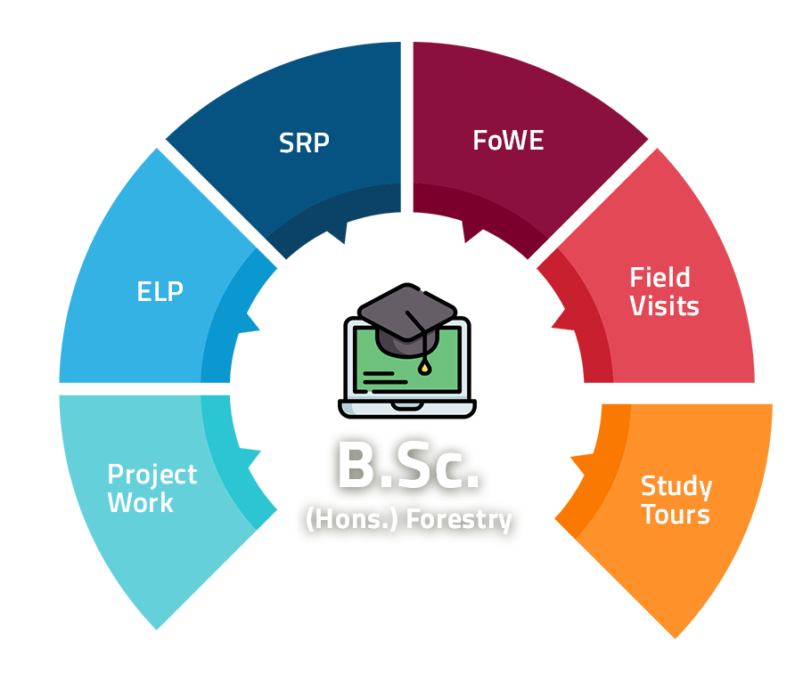 B.Sc. Forestry