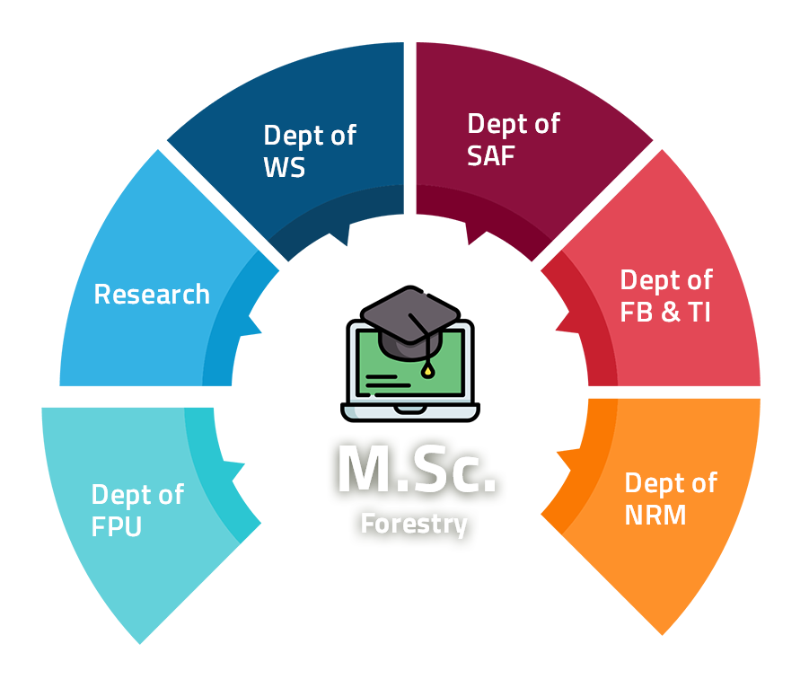 mscforestry