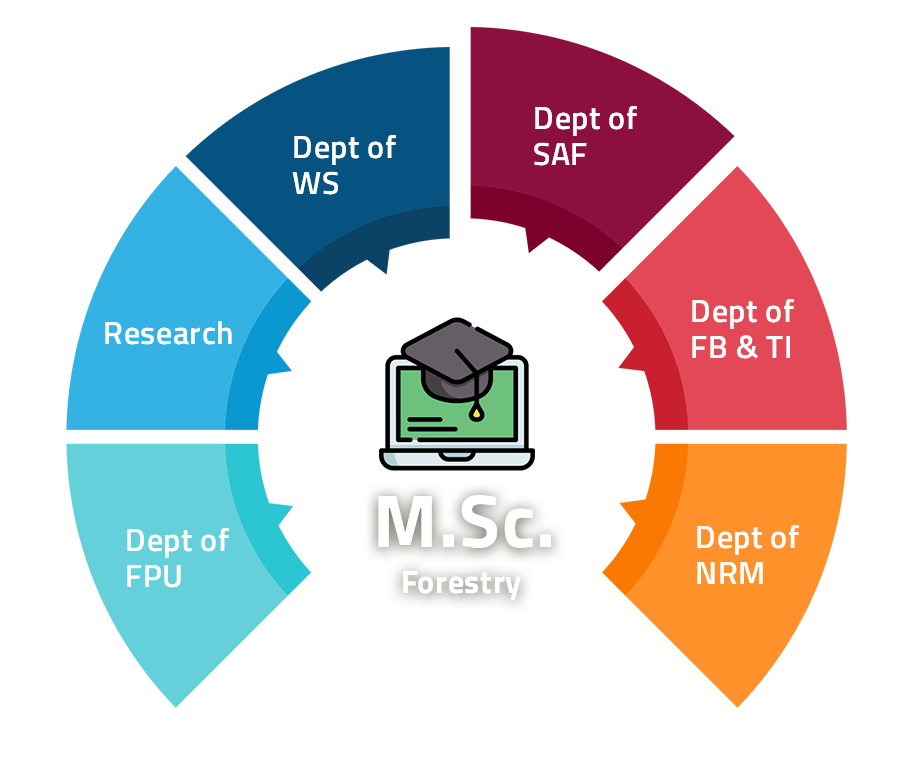 mscforestry