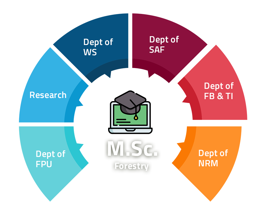 mscforestry