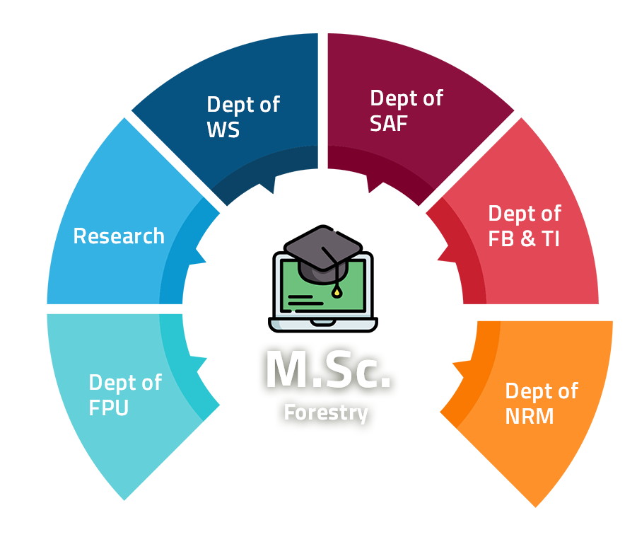 mscforestry